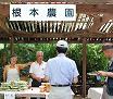 根本農園